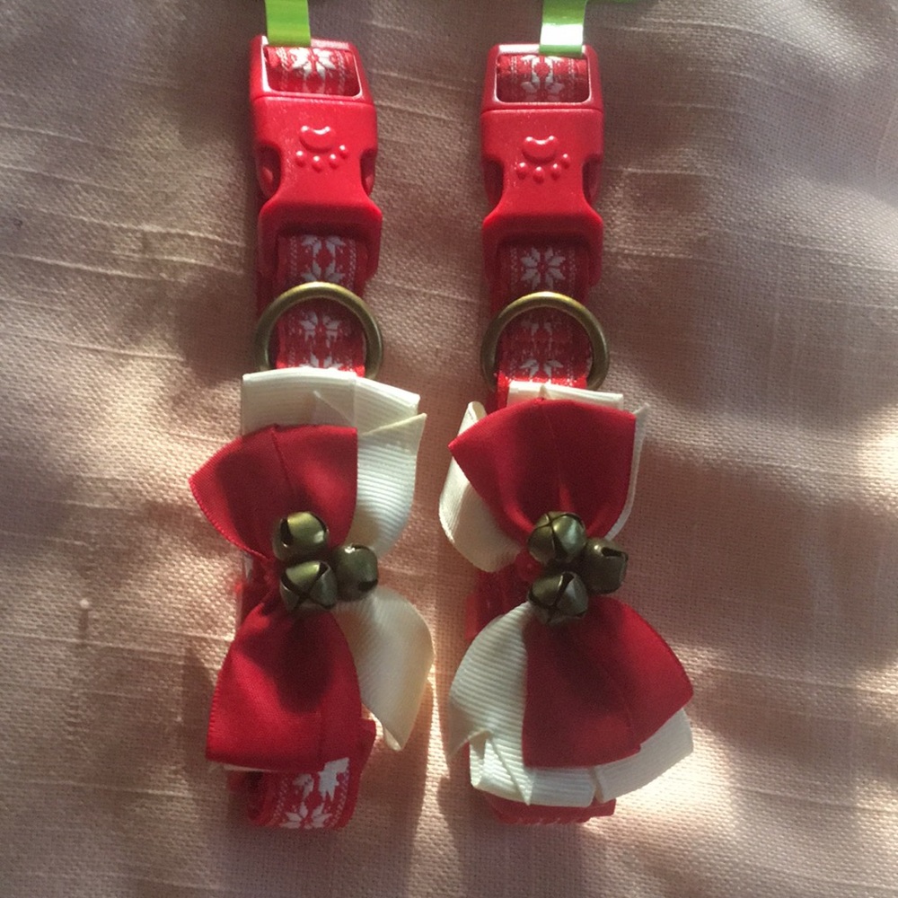 Set of 2 doggy Collars